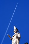 Capitoline seagull