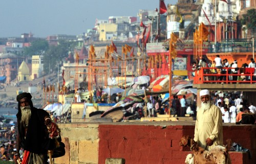 Varanasi - the goat-keepers