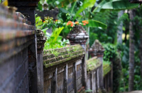 Balinese lane