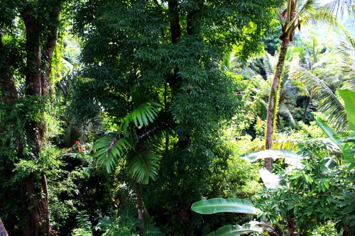 Breakfast table view