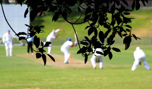 Cricket poetry