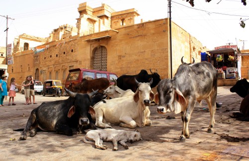 Jaisalmer
