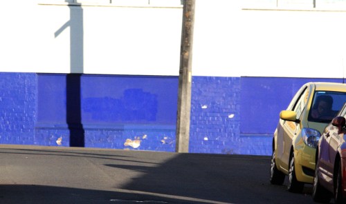 1516 Afternoon snooze