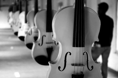 0023 Violins Biennale, Kochi