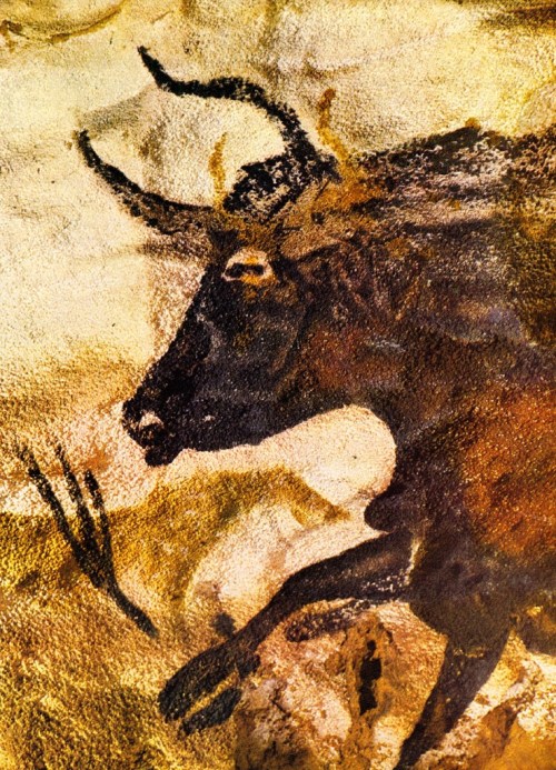 Lascaux 3