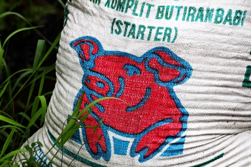 9324 Jatiluwih ricefields