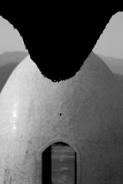 Two Beehives, Rishikesh, April 5, 2010