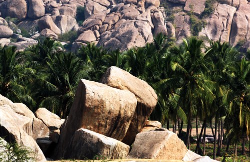 2851 Hampi stones and palms