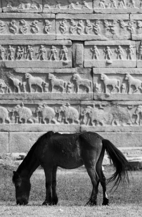 3291 Horse with horse motif, Hampi