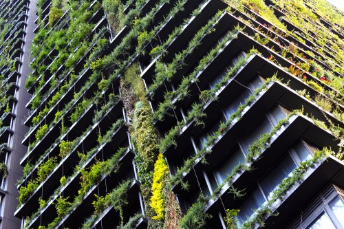 3172 Hanging Gardens of Broadway