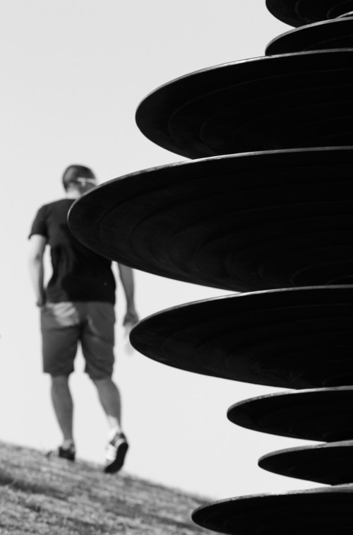 8266 Sculpture by the sea