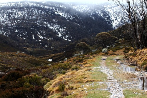 5471 Alpine landscape