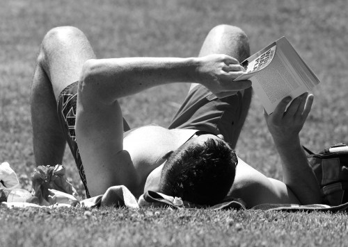 5916 reading in the sun 2