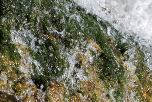 6065 Backwash over seagrass