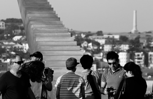 8302 Sculpture by the sea