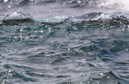 8516 Transient Alps  2