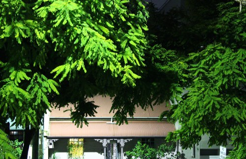 8576 Surry Hills, Sydney