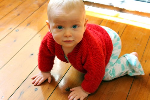 Magnus - dangerously cute infant Homo Sapiens