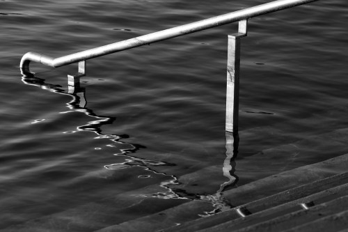 3680 Favoured by local dogs